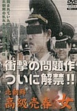 北朝鮮高級売春女(全集)